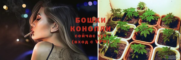 сатива Дмитров