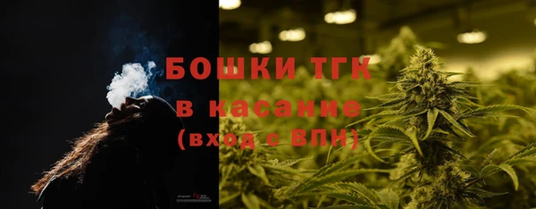 сатива Дмитров