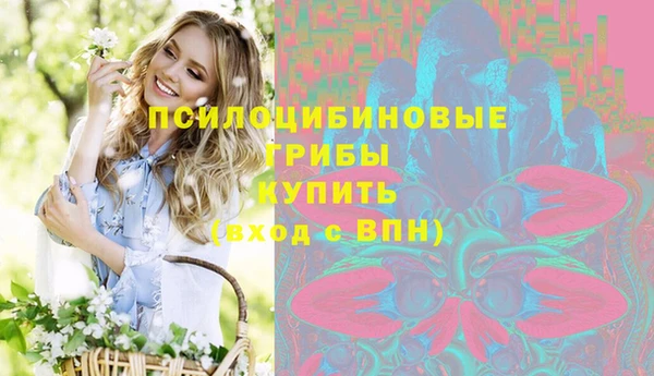 первитин Гусь-Хрустальный