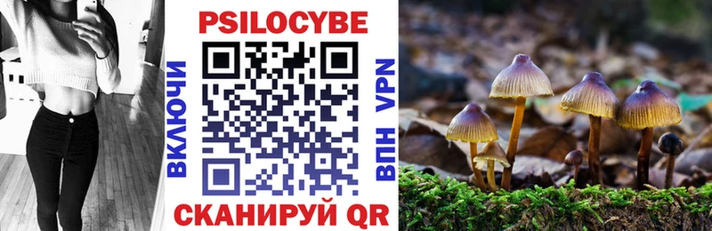 Купить  Козьмодемьянск  Галлюциногенные грибы Psilocybe 